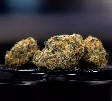 Cannabis Flower